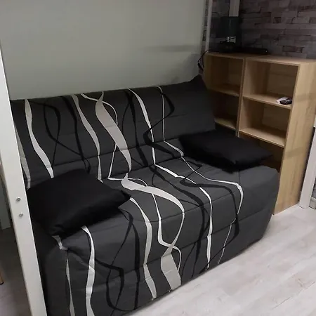 Charmant Studio Centre De Apartament